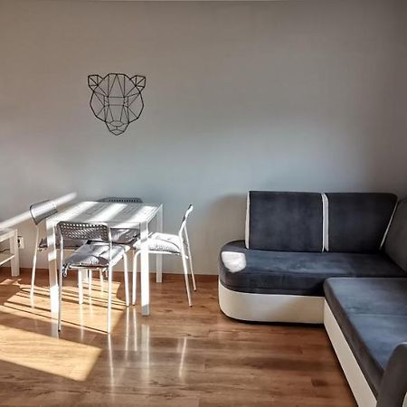 Apartament Przy Papierni Duszniki Zdroj Exterior photo